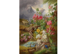 DDSO-4435 Josef Schuster - Zátiší s alpskými květinami