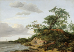 D-7302 Jacob van Ruisdael - Duny u moře