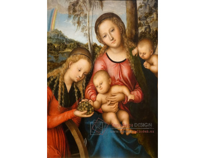 D-7944 Lucas Cranach - Madonna a dítě se svatou Kateřinou