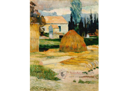 VR2-424 Vincent van Gogh - Krajina v Arles