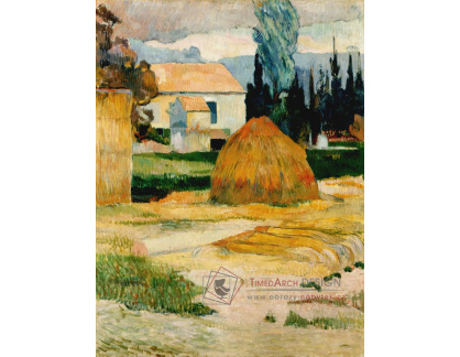 VR2-424 Vincent van Gogh - Krajina v Arles
