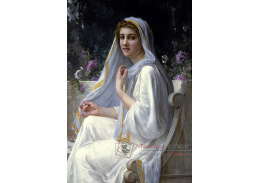 SO X-21 Guillaume Seignac - Zrcadlení