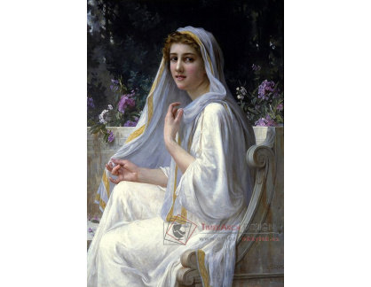 SO X-21 Guillaume Seignac - Zrcadlení