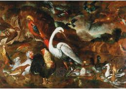 DDSO-4174 Pietro Neri Scacciati - Ptáci ve volieře toskánského vévody