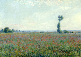 VCM 166 Claude Monet - Vlčí máky