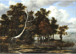 VH463 Jacob Isaacksz van Ruisdael - Duby u jezera s lekníny