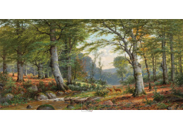 D-6561 Jacobus Johannes van Poorten - Srnec v idylické lesní krajině