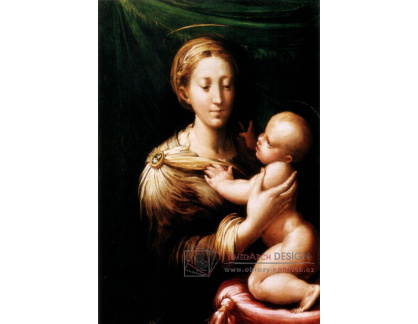 SO VII-227 Parmigianino - Madonna a dítě