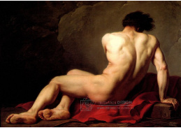 SO V-123 Jacques-Louis David - Patroclus