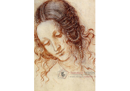 R1-238 Leonardo da Vinci - Studie hlavy Ledy