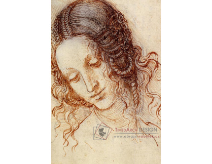 R1-238 Leonardo da Vinci - Studie hlavy Ledy