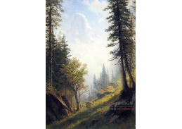VSO 774 Albert Bierstadt - Bernské Alpy