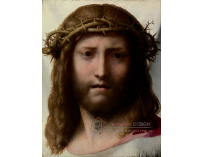 XV-362 Antonio da Correggio - Hlava Krista