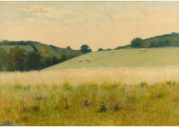 A-3948 Alphonse Osbert - Na polích Dilette