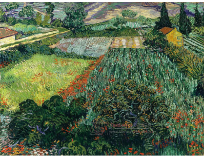 VR2-124 Vincent van Gogh - Maková pole