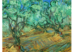 VR2-173 Vincent van Gogh - Olivový háj s modrou oblohou