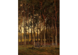 A-1168 Theophile de Bock - Pohled do lesa