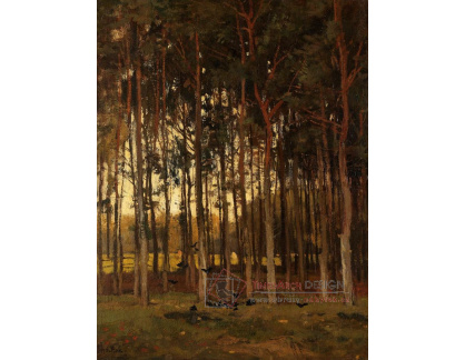 A-1168 Theophile de Bock - Pohled do lesa