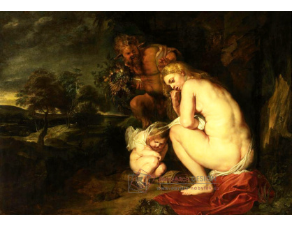 DDSO-4107 Peter Paul Rubens - Chladná Venuše
