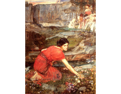 VSO211 John William Waterhouse - Dívka trhající květiny