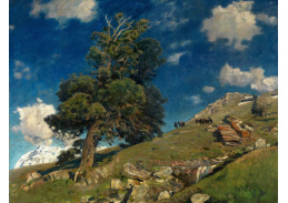 SO XII-127 Eugen Bracht - Monte Rosa a borovice