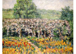 A-1046 Claude Monet - Plamínky v Giverny