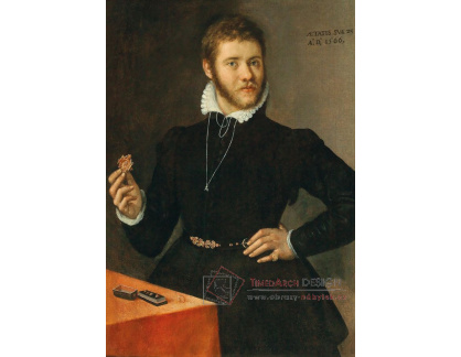 DDSO-3007 Sofonisba Anguissola - Portrét Goldsmitha