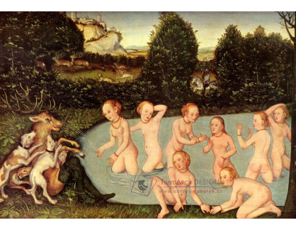 VlCR-68 Lucas Cranach - Diana a Akteon