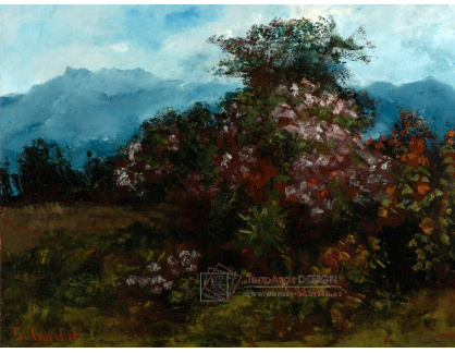 A-5113 Gustave Courbet - Krajina s květinovým masivem