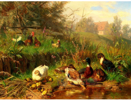 A-6832 Carl Jutz - Slepice a kachny u rybníka