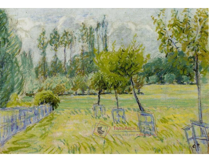 VCP-210 Camille Pissarro - Studie jabloní v Eragny