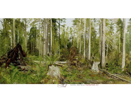 VR54 Ivan Ivanovič Šiškin - Borovicový les