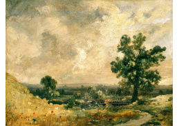 SO XIV-459 John Constable - Anglická krajina