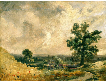 SO XIV-459 John Constable - Anglická krajina