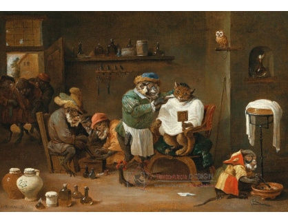 D-5799 Abraham Teniers - Kočka v holičství provozovaném opicí