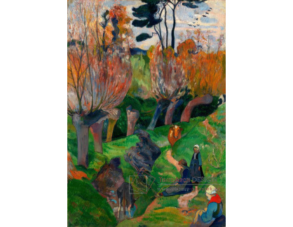 VPG 54 Paul Gauguin - Krajina Bretaně