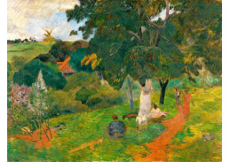 R9-217 Paul Gauguin - Krajinomalba Martiniku
