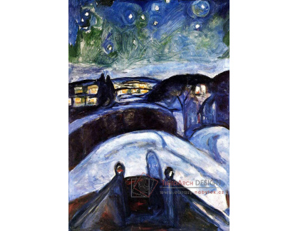 VEM13-90 Edvard Munch - Hvězdná noc