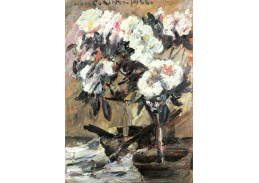 VLC 54  Lovis Corinth - Azalky