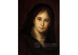 Jakub Schikaneder - Portrét paní Schikanederové