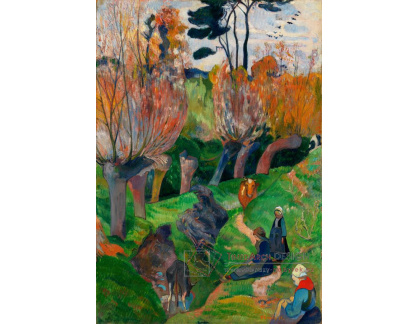 R9-133 Paul Gauguin - Vrby
