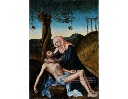 VlCR-46 Lucas Cranach - Pieta