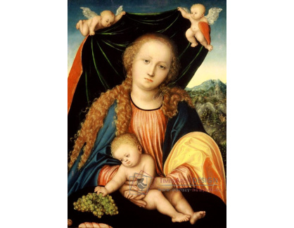 VlCR-129 Lucas Cranach - Madonna s dítětem