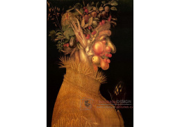 VGA2 Giuseppe Arcimboldo - Léto