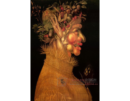 VGA2 Giuseppe Arcimboldo - Léto