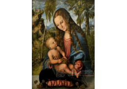 VlCR-87 Lucas Cranach - Madonna pod stromem