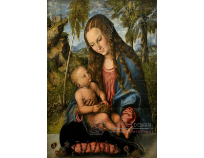 VlCR-87 Lucas Cranach - Madonna pod stromem