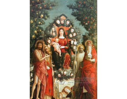 SO VII-160 Andrea Mantegna - Madonna na trůnu
