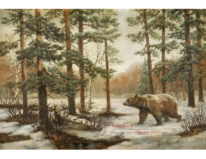 SO VIII-500 Vladimír Leonidovič Graf Muraviev - Medvěd v zimní krajině