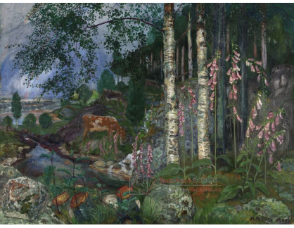 A-3700 Nikolai Astrup - Náprstníky